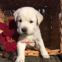 processed/787775cc-ae68-46b3-a972-6f869b706d7f/facility/53c46b16-64d8-4eea-a544-e5af5803d68a