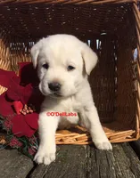 processed/787775cc-ae68-46b3-a972-6f869b706d7f/facility/53c46b16-64d8-4eea-a544-e5af5803d68a