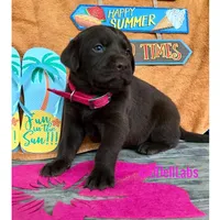 processed/787775cc-ae68-46b3-a972-6f869b706d7f/facility/570c2020-5cf2-4f65-bd70-cf0ec27e52fe