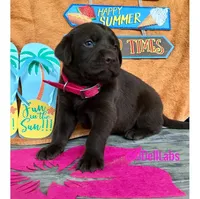 processed/787775cc-ae68-46b3-a972-6f869b706d7f/facility/570c2020-5cf2-4f65-bd70-cf0ec27e52fe