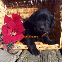 processed/787775cc-ae68-46b3-a972-6f869b706d7f/facility/b7e6f200-03f2-41a8-a248-438222e8bfd3