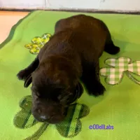 processed/787775cc-ae68-46b3-a972-6f869b706d7f/facility/ddb2fcb8-c956-4b32-a732-b1ee7e9c234b