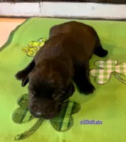 processed/787775cc-ae68-46b3-a972-6f869b706d7f/facility/ddb2fcb8-c956-4b32-a732-b1ee7e9c234b