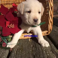 processed/787775cc-ae68-46b3-a972-6f869b706d7f/facility/fa6931b8-c97e-4a61-971b-e633f414118a