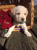 processed/787775cc-ae68-46b3-a972-6f869b706d7f/facility/fa6931b8-c97e-4a61-971b-e633f414118a