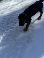 processed/787bc659-9608-4134-8f6f-d878065ab8dd/listing/81c429ce-3bce-46ce-8411-019684a6a8e3/18c88fc0-0a29-4554-a484-7c0d88d73f7a