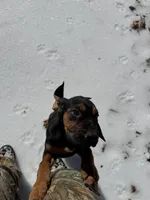 processed/787bc659-9608-4134-8f6f-d878065ab8dd/listing/81c429ce-3bce-46ce-8411-019684a6a8e3/861204f2-6a68-49f0-88b5-0e6d9cc61d60