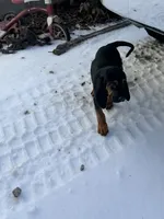 processed/787bc659-9608-4134-8f6f-d878065ab8dd/listing/81c429ce-3bce-46ce-8411-019684a6a8e3/8cf9d61f-16a7-48bf-8537-2aea63eb7943