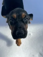 processed/787bc659-9608-4134-8f6f-d878065ab8dd/listing/81c429ce-3bce-46ce-8411-019684a6a8e3/b36c8ce1-6e3e-4b67-b24f-af3f16cebf2c