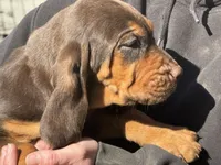 processed/787bc659-9608-4134-8f6f-d878065ab8dd/listing/d53e5357-3229-467c-a795-cff1de7df0ab/0abfa7aa-ba75-4220-b664-454aa0afcfbc