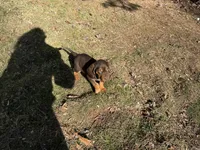 processed/787bc659-9608-4134-8f6f-d878065ab8dd/listing/d53e5357-3229-467c-a795-cff1de7df0ab/0f2531ac-f94f-4aec-9016-cc6eeca5536d