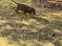 processed/787bc659-9608-4134-8f6f-d878065ab8dd/listing/d53e5357-3229-467c-a795-cff1de7df0ab/174b33a5-1af1-4bd8-8cd9-4aa217e97cab