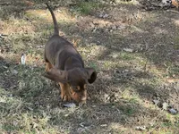 processed/787bc659-9608-4134-8f6f-d878065ab8dd/listing/d53e5357-3229-467c-a795-cff1de7df0ab/1982b058-843d-4b22-834b-7a90856bc505