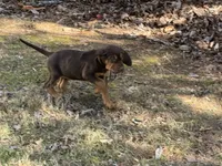 processed/787bc659-9608-4134-8f6f-d878065ab8dd/listing/d53e5357-3229-467c-a795-cff1de7df0ab/19c3c008-21fe-4ef7-b046-6e4e8ee6a2cb