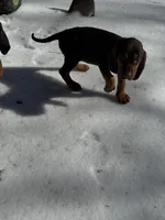 processed/787bc659-9608-4134-8f6f-d878065ab8dd/listing/d53e5357-3229-467c-a795-cff1de7df0ab/4f51f554-232a-486b-af14-44599a5b02d5