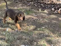 processed/787bc659-9608-4134-8f6f-d878065ab8dd/listing/d53e5357-3229-467c-a795-cff1de7df0ab/585ea26f-72d8-457d-8ac2-7bb0f218e7d3