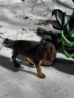 processed/787bc659-9608-4134-8f6f-d878065ab8dd/listing/d53e5357-3229-467c-a795-cff1de7df0ab/b5657758-66c6-402e-bac5-5820d86ac062