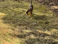 processed/787bc659-9608-4134-8f6f-d878065ab8dd/listing/d53e5357-3229-467c-a795-cff1de7df0ab/cb338417-d515-4705-8b6c-1e25b760fc3e