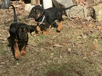 processed/787bc659-9608-4134-8f6f-d878065ab8dd/listing/f45e0ad5-f1eb-487c-9758-b0d9e8bdd10e/31c31ee1-171b-46df-b996-617ab6ee5de6