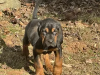 processed/787bc659-9608-4134-8f6f-d878065ab8dd/listing/f45e0ad5-f1eb-487c-9758-b0d9e8bdd10e/73659b87-5637-4f7b-8231-4906b7ea1de0