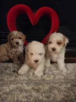 processed/788049e1-b842-40b5-b072-4e0001677a35/listing/5daa9879-8bc2-453f-95f6-3cc8791a7d72/03d1cb12-ef61-41ff-95a2-8ccde4f0fbfa