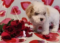 processed/788049e1-b842-40b5-b072-4e0001677a35/listing/5daa9879-8bc2-453f-95f6-3cc8791a7d72/0d4703e7-ab84-4c61-bd78-1046eb809ff1