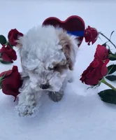 processed/788049e1-b842-40b5-b072-4e0001677a35/listing/5daa9879-8bc2-453f-95f6-3cc8791a7d72/1229ae54-0089-4e31-8b31-82bf996de843