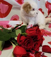 processed/788049e1-b842-40b5-b072-4e0001677a35/listing/5daa9879-8bc2-453f-95f6-3cc8791a7d72/3c2ae9fc-e84e-4009-990e-f85f691f4e1d