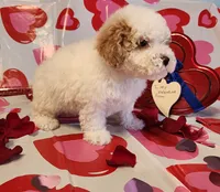 processed/788049e1-b842-40b5-b072-4e0001677a35/listing/5daa9879-8bc2-453f-95f6-3cc8791a7d72/53dd82ba-848e-4d10-8c66-29bdbd0f33a7