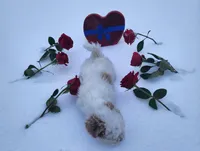 processed/788049e1-b842-40b5-b072-4e0001677a35/listing/5daa9879-8bc2-453f-95f6-3cc8791a7d72/64b4c5ae-fb5c-4f3c-9fb9-e9f4b9007e47