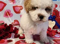 processed/788049e1-b842-40b5-b072-4e0001677a35/listing/5daa9879-8bc2-453f-95f6-3cc8791a7d72/8e8e93fd-a6cd-4fb5-9333-d2ce88f37ec2