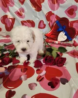 processed/788049e1-b842-40b5-b072-4e0001677a35/listing/f218f3e2-1a48-4f7c-bf12-6f7ec0500d1f/5d45b16d-844f-44e5-81ed-f065f8164d65