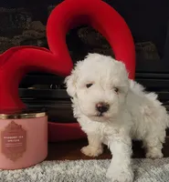 processed/788049e1-b842-40b5-b072-4e0001677a35/listing/f218f3e2-1a48-4f7c-bf12-6f7ec0500d1f/71238f64-1f3a-49a8-a832-6979c7f0c044