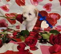 processed/788049e1-b842-40b5-b072-4e0001677a35/listing/f218f3e2-1a48-4f7c-bf12-6f7ec0500d1f/8edf5b39-4f35-44bf-a81e-c3d9583f0cb7