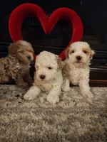 processed/788049e1-b842-40b5-b072-4e0001677a35/listing/f218f3e2-1a48-4f7c-bf12-6f7ec0500d1f/90782d06-4035-48ac-86bf-519d78b66dff