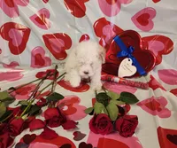 processed/788049e1-b842-40b5-b072-4e0001677a35/listing/f218f3e2-1a48-4f7c-bf12-6f7ec0500d1f/cc760cc4-531b-453f-aa53-ba17986a869e