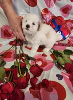 processed/788049e1-b842-40b5-b072-4e0001677a35/listing/f218f3e2-1a48-4f7c-bf12-6f7ec0500d1f/e88a2f32-d960-4d7c-89aa-af721e9aa192