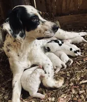 processed/788a7f04-9c0d-49e1-9e56-e45bfd8aa473/facility/02860e34-9675-42ae-9acc-302b66f6c6b0