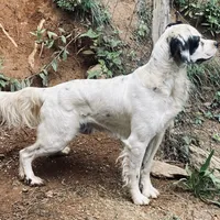 processed/788a7f04-9c0d-49e1-9e56-e45bfd8aa473/facility/35a8ea92-be82-4b24-8dac-a6843d98cf46