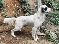 processed/788a7f04-9c0d-49e1-9e56-e45bfd8aa473/facility/35a8ea92-be82-4b24-8dac-a6843d98cf46