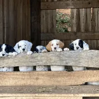 processed/788a7f04-9c0d-49e1-9e56-e45bfd8aa473/facility/39526457-9467-4cac-827d-f588fdd95fd8