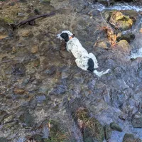 processed/788a7f04-9c0d-49e1-9e56-e45bfd8aa473/facility/586ce72f-37ca-4ea6-bab9-43deaed24147