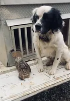 processed/788a7f04-9c0d-49e1-9e56-e45bfd8aa473/facility/71266d95-74a5-4a80-b0bb-bac58f8c5ca8