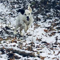 processed/788a7f04-9c0d-49e1-9e56-e45bfd8aa473/facility/a1c5c8f9-a5c4-42cb-82cd-efe53259e2c1