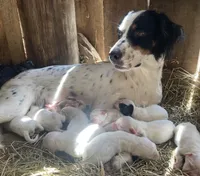 processed/788a7f04-9c0d-49e1-9e56-e45bfd8aa473/facility/be4909b1-2cfa-407f-9d8b-5096afb21cd8