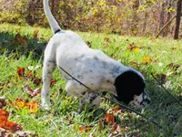 processed/788a7f04-9c0d-49e1-9e56-e45bfd8aa473/facility/dffdc324-3685-4a89-8b2b-2981e2022bc5