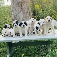 processed/788a7f04-9c0d-49e1-9e56-e45bfd8aa473/facility/f176636e-df76-4909-af22-de518c3344e1