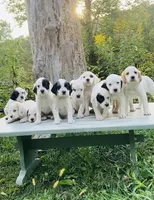 processed/788a7f04-9c0d-49e1-9e56-e45bfd8aa473/facility/f176636e-df76-4909-af22-de518c3344e1