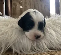 processed/788a7f04-9c0d-49e1-9e56-e45bfd8aa473/listing/10d61cf5-ebcb-4f48-b399-f6c9893d16d7/0fbbee4a-1ee4-49a6-b305-ec1445d91275