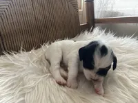 processed/788a7f04-9c0d-49e1-9e56-e45bfd8aa473/listing/10d61cf5-ebcb-4f48-b399-f6c9893d16d7/479152b8-fc3b-46fb-8935-633743ed3b98